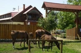 Martinek Lovasudvar Hajdúnánási Lovasközpont & Ifjúsági Szállás Hajdúnánás