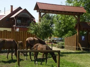 Martinek Lovasudvar Hajdúnánási Lovasközpont & Ifjúsági Szállás Hajdúnánás