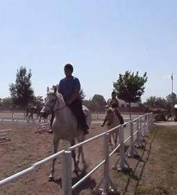 Martinek Lovasudvar Hajdúnánási Lovasközpont & Ifjúsági Szállás