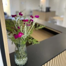 Sóvirág Termál Panzió Hajdúnánás - Belső