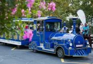 Városnéző Nosztalgiavonat Hajdúszoboszló Hajdúszoboszló