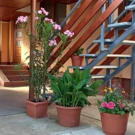 Ágica Vendégház Hajdúszoboszló - Egyéb