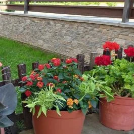 Ágica Vendégház Hajdúszoboszló - Egyéb