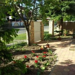 Alex Apartman & Panzió Hajdúszoboszló - Medence/kert