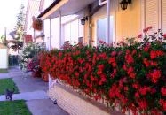 Apartman Ilona II. Hajdúszoboszló