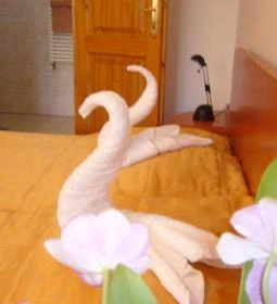 Aqua Azur Guesthouse