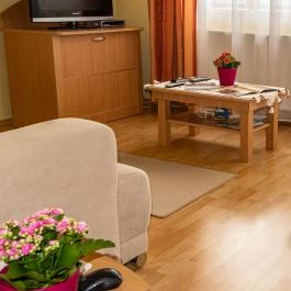 Betty Apartman Hajdúszoboszló - Egyéb