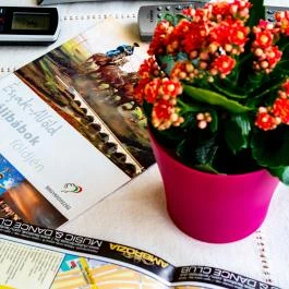 Betty Apartman Hajdúszoboszló - Egyéb