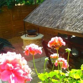 Deák Vendégház Hajdúszoboszló - Medence/kert