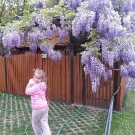 Demeter Apartman Hajdúszoboszló - Egyéb