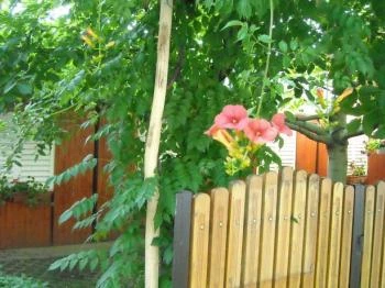 Demeter Apartman Hajdúszoboszló