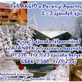Derényi Apartman Hajdúszoboszló - Egyéb