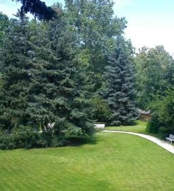 Fenyves Üdülőház