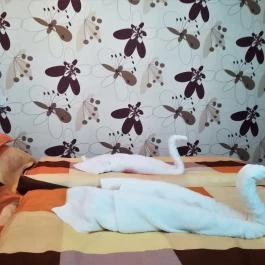 Fortuna Apartman Hajdúszoboszló - Egyéb