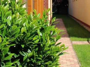 Gardenia Apartman Hajdúszoboszló