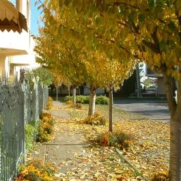 Hajdú Kastély Hotel Hajdúszoboszló - Egyéb