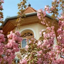 Hajdú Kastély Hotel Hajdúszoboszló - Egyéb