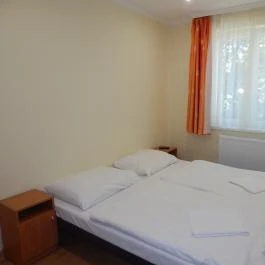 Hajdu Vendégház Hajdúszoboszló - Egyéb