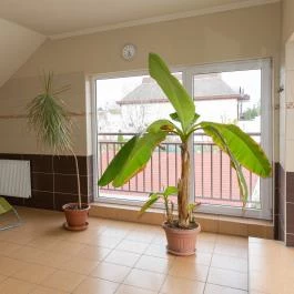 Holiday Apartman Hajdúszoboszló - Egyéb