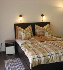 Honey Lodging Apartman Hajdúszoboszló