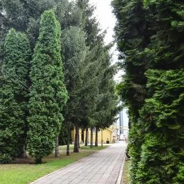 Hotel Bungalló Hajdúszoboszló - Medence/kert