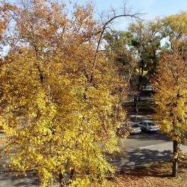 Hotel Napsugár Hajdúszoboszló - Környék
