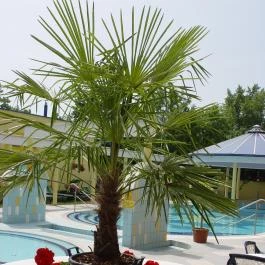 Hotel Rudolf Hajdúszoboszló - Külső kép