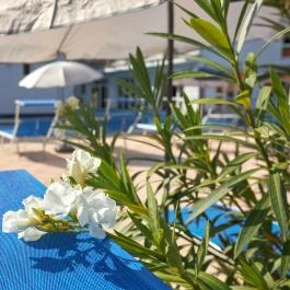 Silver Hotel Hajdúszoboszló - Egyéb