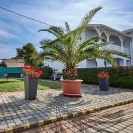 Silver Hotel Hajdúszoboszló - 