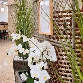 Hungarospa Thermal Hotel Hajdúszoboszló - Belső