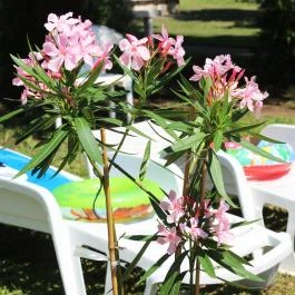 Hotel Hőforrás Hajdúszoboszló - Egyéb