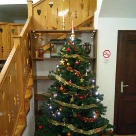 Laci Betyár Fogadó Hajdúszoboszló - Egyéb