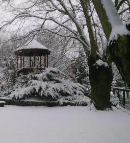 Laci Betyár Fogadó