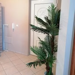 Mesi Lux Apartman Hajdúszoboszló - Egyéb