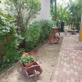 Muskátli Apartmanház 4 Hajdúszoboszló - Medence/kert