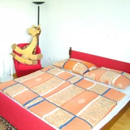 Muskátli Apartmanház 4 Hajdúszoboszló - Egyéb