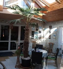 Napsugár Kenézy Lux Apartman Vendégházak