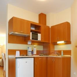 Panoráma Wellness Apartman Hotel Hajdúszoboszló - Egyéb
