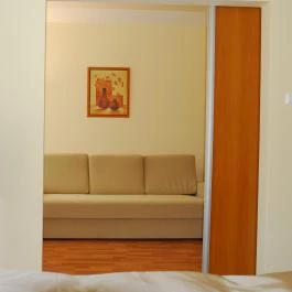 Panoráma Wellness Apartman Hotel Hajdúszoboszló - Egyéb