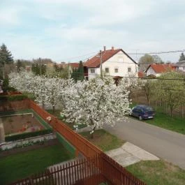 Pillangó Apartmanház Hajdúszoboszló - Egyéb