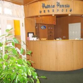 Puskás Panzió Hajdúszoboszló - Egyéb