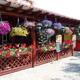 Relax Kuckó Hajdúszoboszló - Egyéb