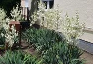 Sárga Muskátli Apartman Hajdúszoboszló