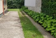 Sárga Muskátli Apartman Hajdúszoboszló