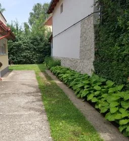 Sárga Muskátli Apartman