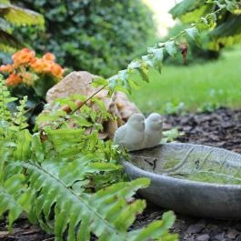 Villa Toscana Hajdúszoboszló - Medence/kert