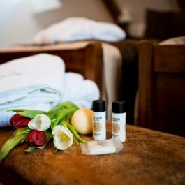 Zselicvölgy Szabadidőfarm Hajmás - Egyéb