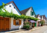 Hajós - Hajósi pincefalu