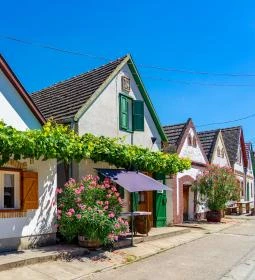 353. legjobb látnivaló: Hajósi pincefalu