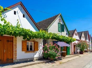 Hajósi pincefalu Hajós